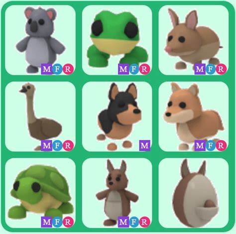 Adopt Me Aussie Mega Pets Video Gaming Gaming Accessories In Game