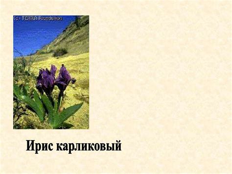 Четырехзначные числа - презентация онлайн