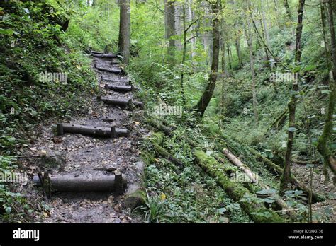 Black Forest hiking trail through the Wutachschlucht, Germany Stock ...