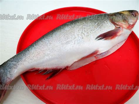 Толстолобик фаршированный в духовке: 18 фото в рецепте