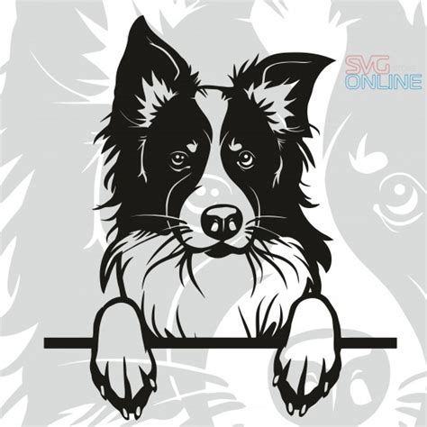 Peeking Dog Svg File For Cricutborder Collie Shirt Svgborder Collie