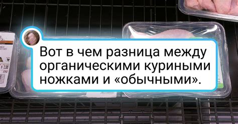 20+ бесспорных доказательств того, что все в этом мире познается в ...