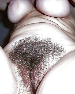 Hairy Cunts Pits Legs Treasure Trails The Works Porn Pictures XXX Photos Sex Images