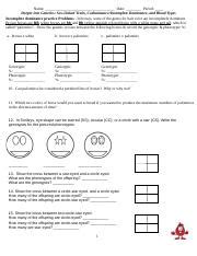 Incomplete Codominance Sex Linked Docx Name Date Period Deeper Into Genetics Sex Linked