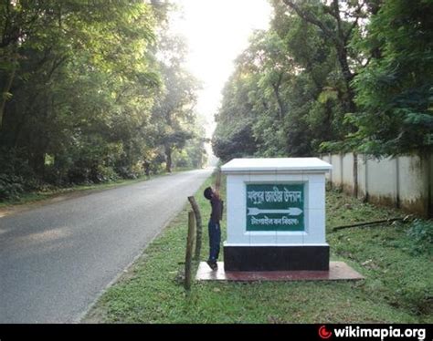 Madhupur Tract Forest National Park Tourist Attraction