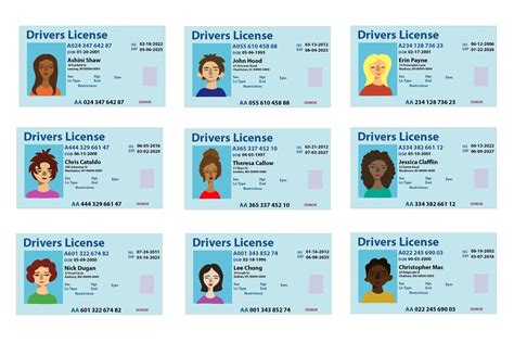 Examples Of Fake Ids - Buy Fake Id | Best Fake Scannable Ids Online
