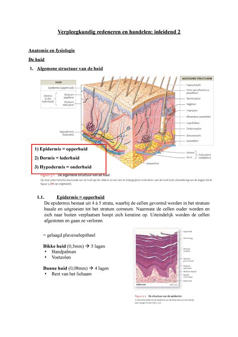 H5 Samenvatting Huid Verpleegkundig Redeneren En Handelen