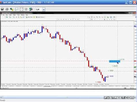 Naked Trading YouTube