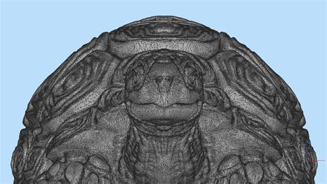 Tortoise Figurine 3d Model By Craft3d