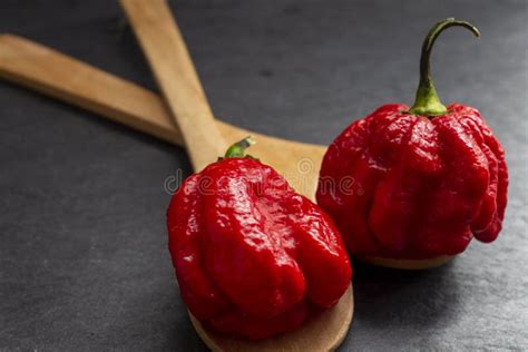 Hottest Pepper In The World Trinidad Scorpion Butch Thousands Of Times More Spicy Than