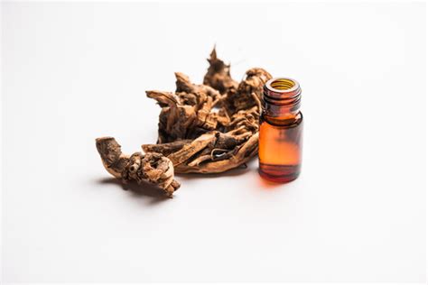 Zeylanica Images – Browse 243 Stock Photos, Vectors, and Video | Adobe ...