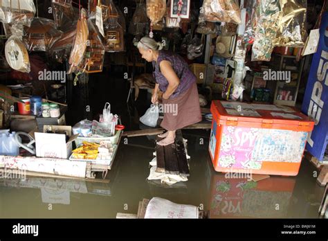 Vieille Femme Tha Landaise Sa Maison Inond E Ayutthaya Les Pires