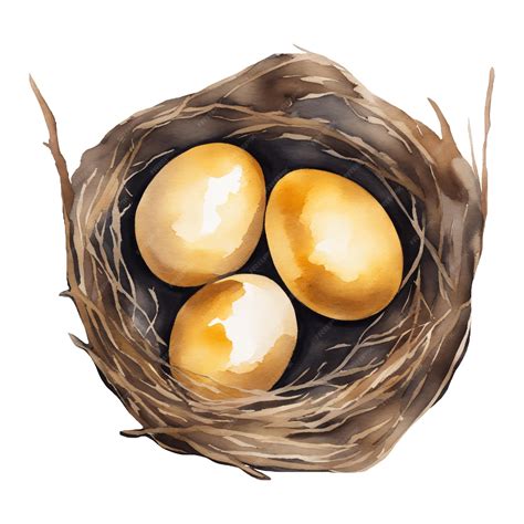 Premium Vector | Golden eggs in the nest top view isolated hand drawn