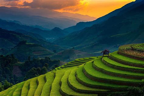 Landscape Nature Rice Paddy Terraces Mountain Sunset Field Rice Field