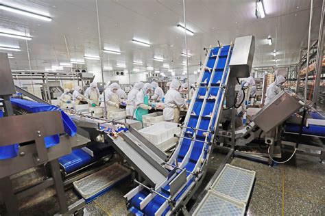 Food, Med Device and Pharma Recruiting | GreenKiss Staffing Solutions