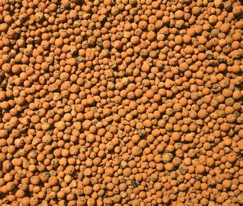 plantit clay pebbles aquaponic lynx llc