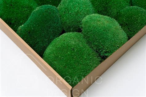 Стабілізований мох - Кочка - Nature Green - Коробка 38х37х9 см