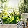 Runa Art Fototapete Wald Sonne Modern Vlies Wohnzimmer Schlafzimmer