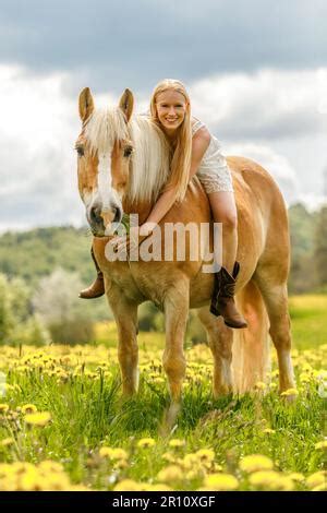 Eine Junge Blonde Frau Und Ihr Haflinger Pferd Genie En Ihre Zeit Im Fr Hling Drau En