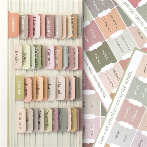 Tabs Español para Biblia Ref Nude Store by Poly