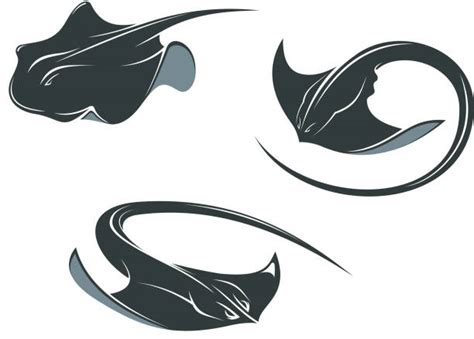 Stingray Clip Art Vector Images And Illustrations Istock