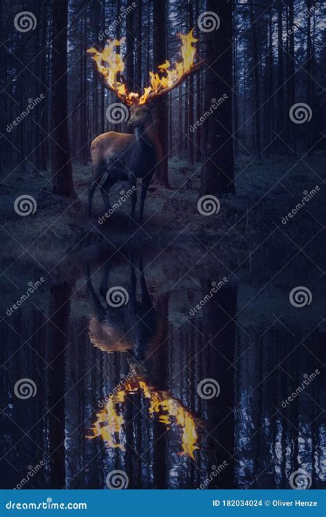 Deer With Fire Antlers In The Dark Forest Stock Photo Image Of