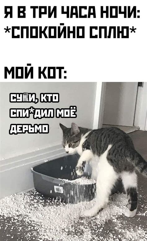 Вот же не спится ему | Пикабу