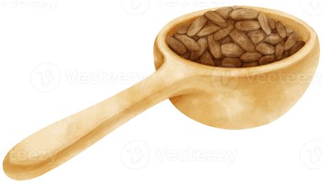 Watercolor Cocoa Beans In Wooden Spoon 9660146 Png