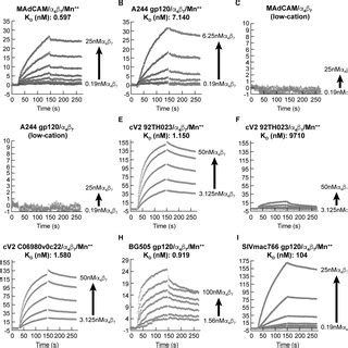 Inhibition Of Mediated Cell Adhesion To Madcam And A Cyclic V