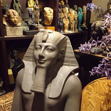 Down Under Pharaoh -..as the studio continues to take shape, this