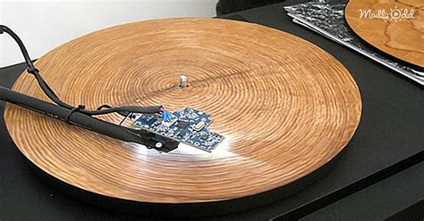 He Puts A Ring From A Tree Trunk On A Record Player This Is The Most