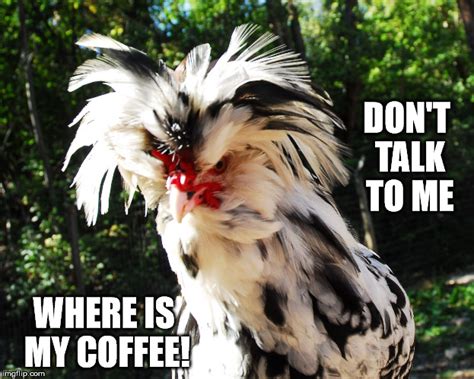 Give Me Coffee Imgflip