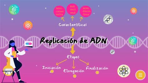 Mapa Mental Replicación De Adn