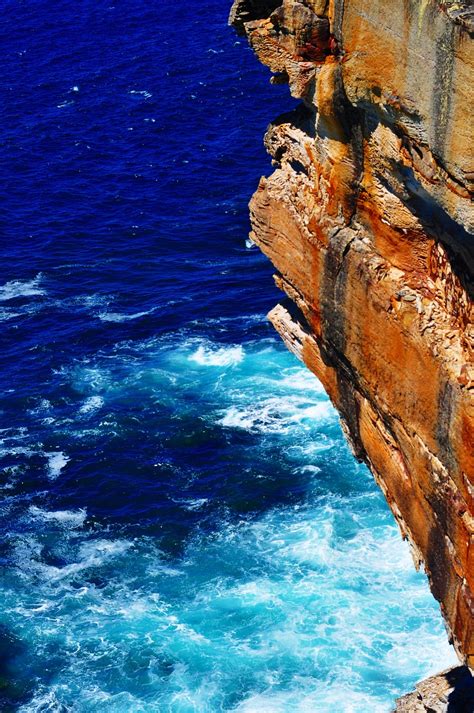 Cliff New Zealand The Cliffs Free Photo On Pixabay Pixabay