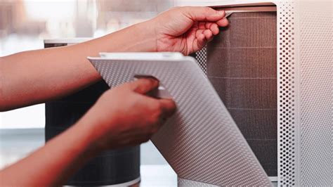 HEPA vs. True HEPA Filters: Unveiling the Truth for Cleaner Air with ...