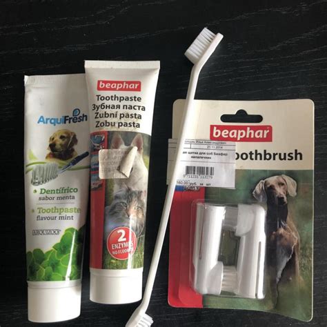 Обзор лучших паст, гелей и спреев от зубного камня у собак разных пород