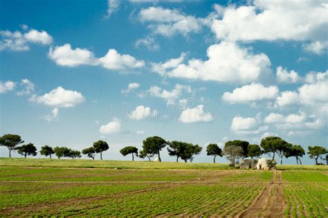 Trulli On Agricultural Apulian Coast Stock Image Image Of Bari