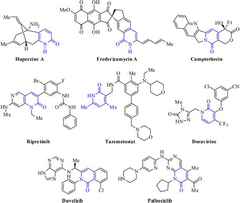 Bioactive Natural Products And Selected Examples Of Fda Approved Drugs