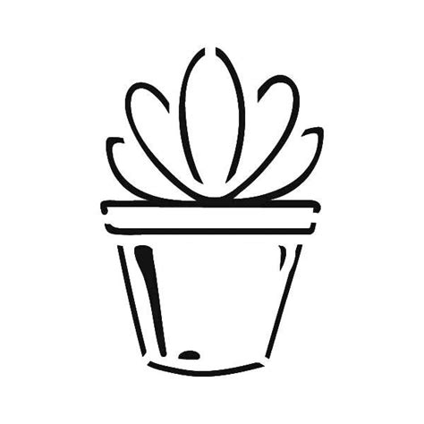 Echeveria Artofit