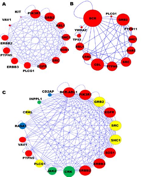 The Protein Protein Interaction Networks Of The BCR ABL Fusion And Two