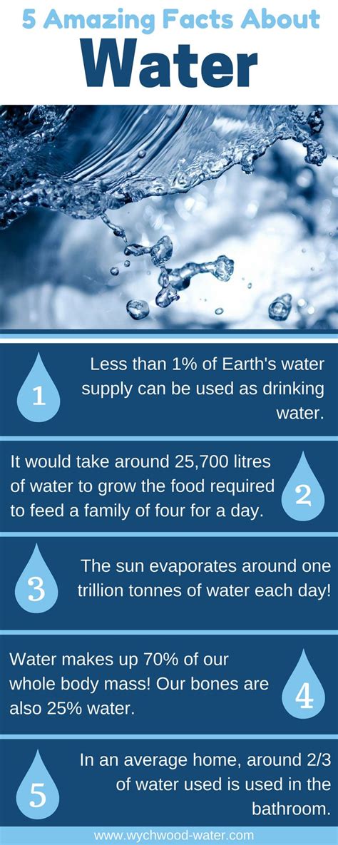 Learn Some Amazing Facts And Figures About Water In This Infographic