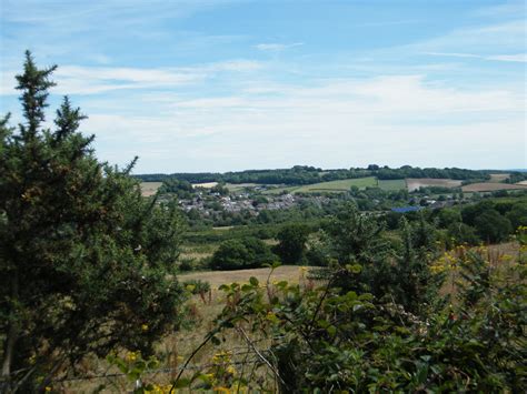 Dorset Group Jul The Heaths And Woods Of Bere Regis Gay Outdoor Club
