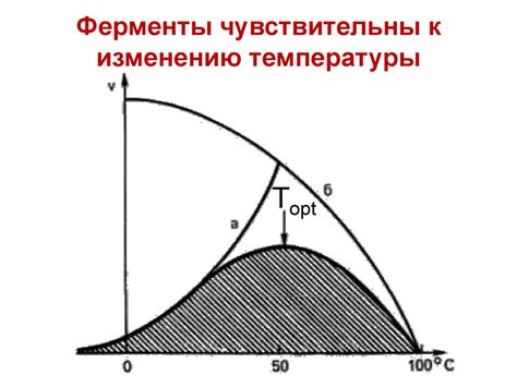 Белки, ферменты - презентация онлайн