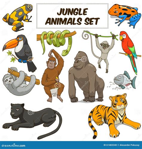 animal cartoon in jungle 11