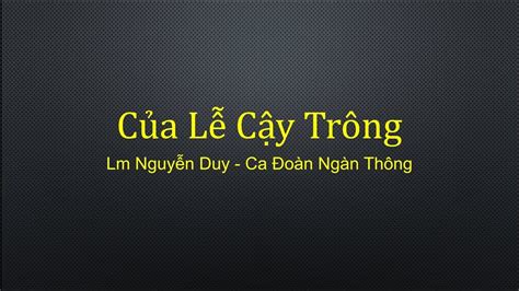 Của Lễ Cậy Trông Lm Nguyễn Duy Ca Đoàn Ngàn Thông YouTube