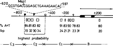 Figure 1 From Preferential Binding Of Estrogen Receptor Complex To A