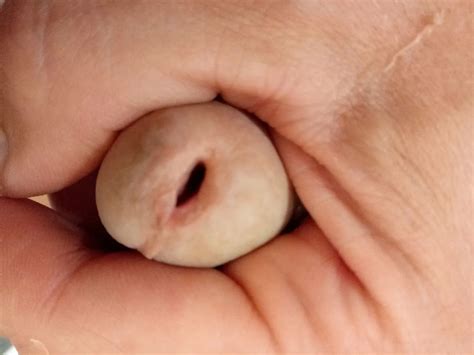 Snake Nude Pics XHamster