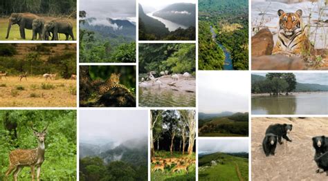 Discover Unesco Biosphere Reserves Protect Ecosystem