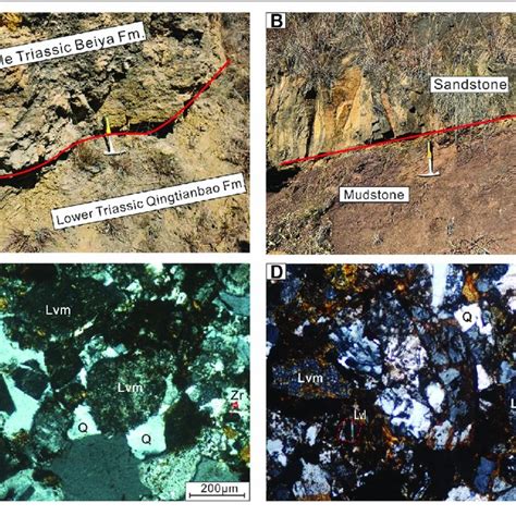 Representative Field Outcrops And Photomicrographs Of Clastic Rocks