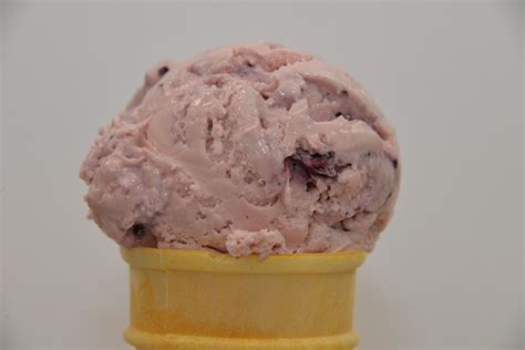 huckleberry recipes 4